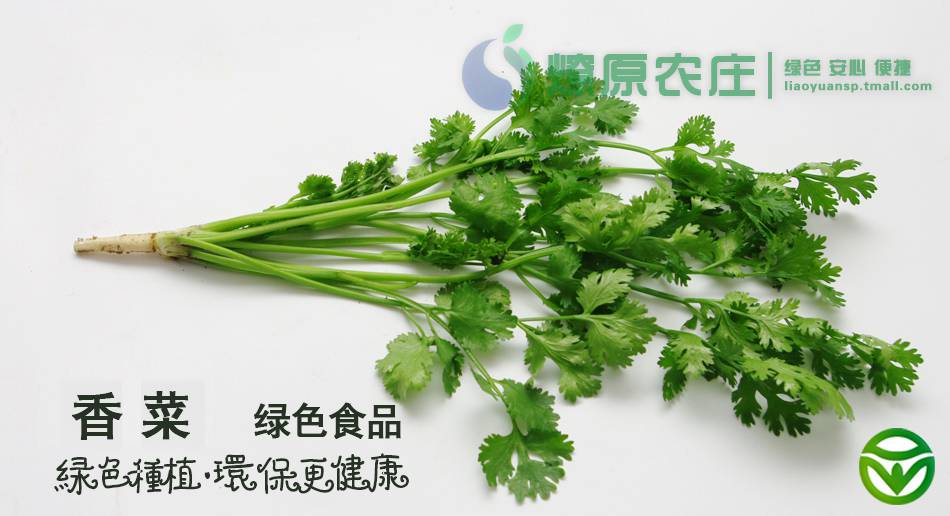 蔬菜名称:【燎原特惠】新鲜香菜绿色种植绿色无公害蔬菜新鲜青菜顺丰